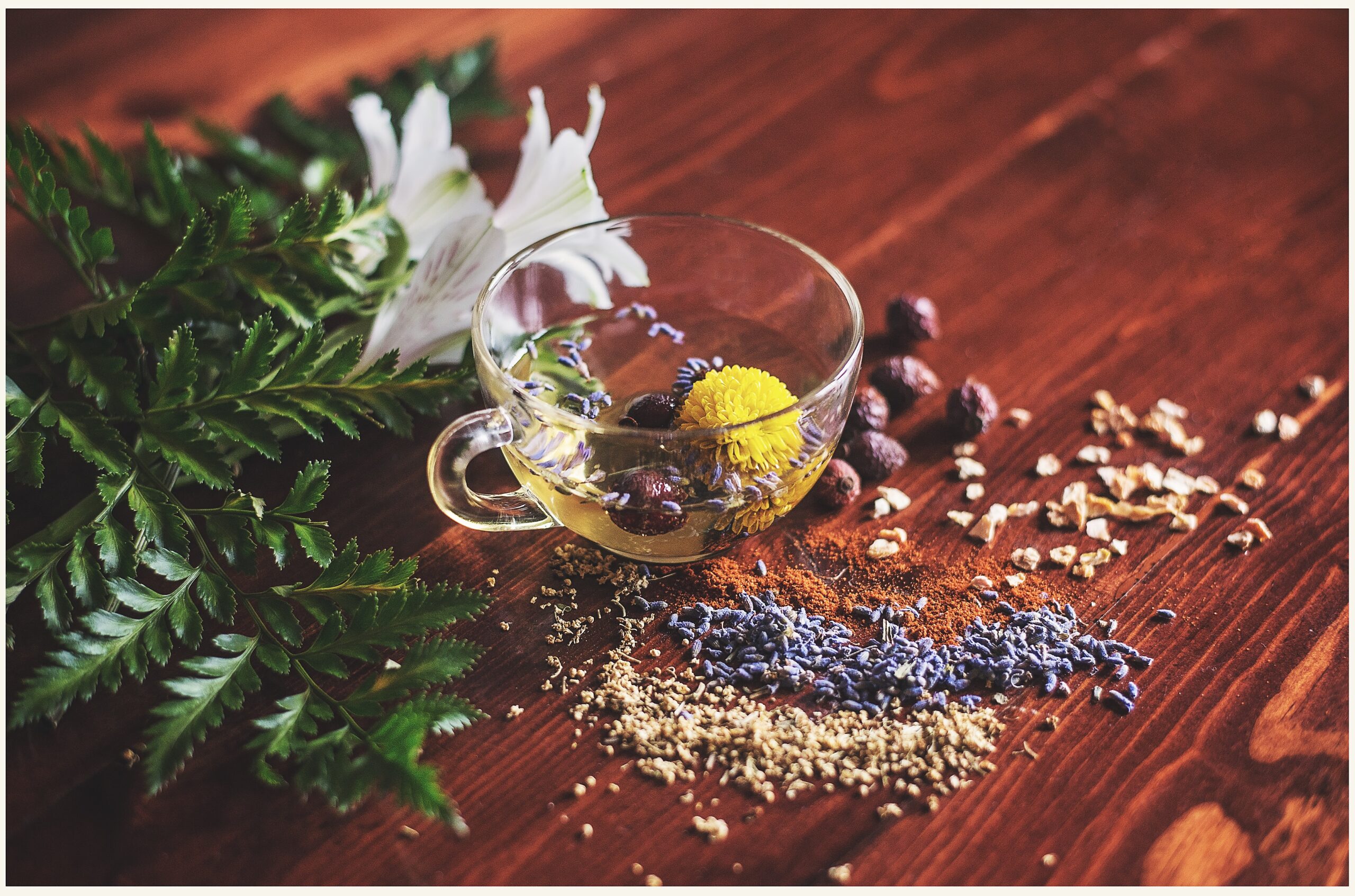 Uncovering the Health and Vitality Benefits of Herbal Remedies