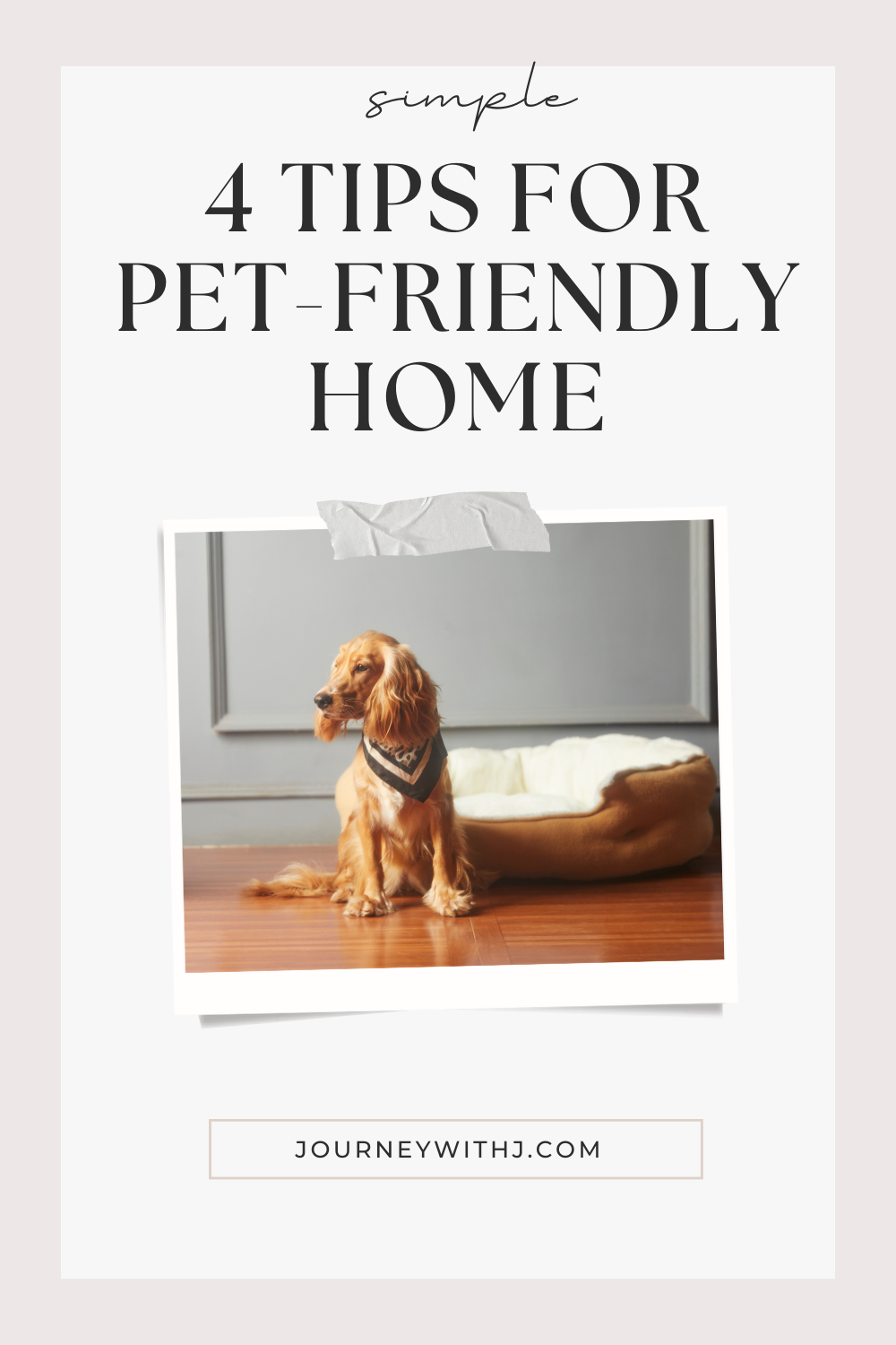 4 Tips for pet-friendly home